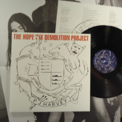 PJ Harvey – The Hope Six Demolition Project