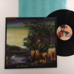 Fleetwood Mac – Tango In The Night
